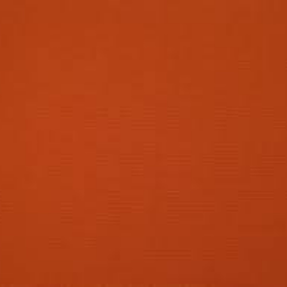 American Rag | Burnt Orange Cropped Button Down - Picture 7 of 7